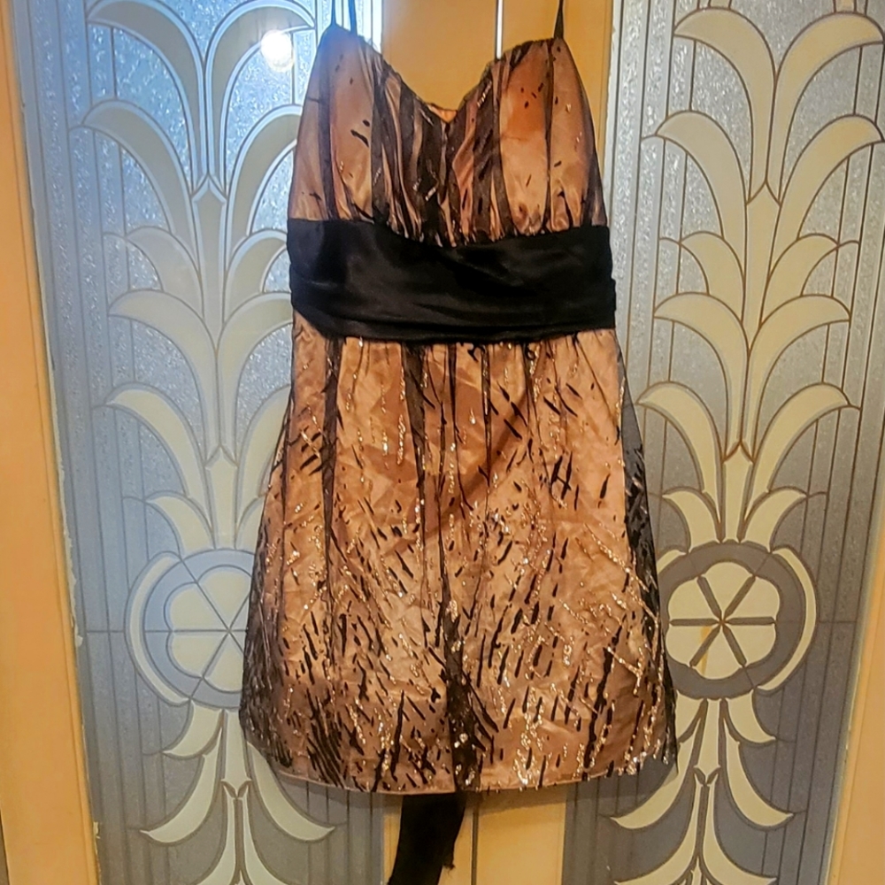 Size 16 Deb prom dress spagetti string straps.